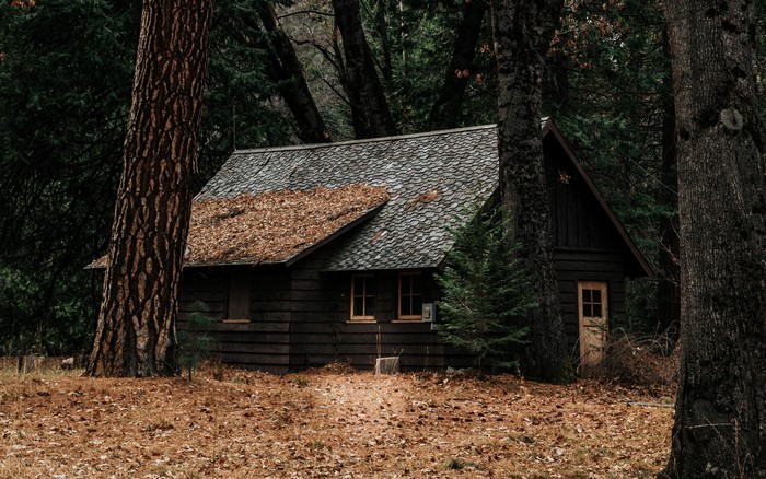 Cabin in a forest with leaves