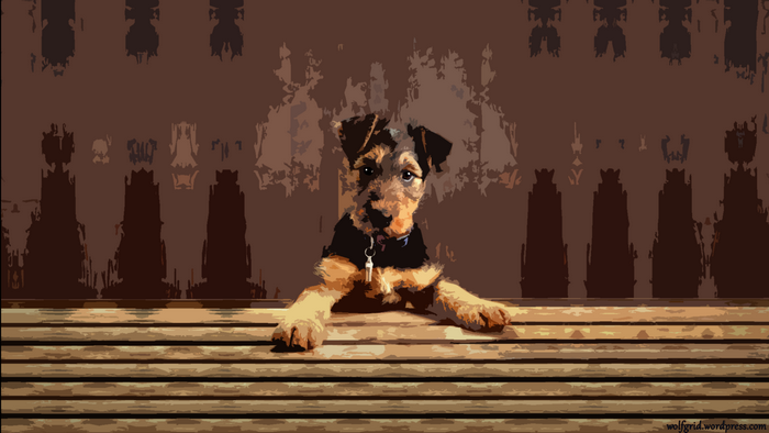Airedale Terrier puppy on a wooden bench