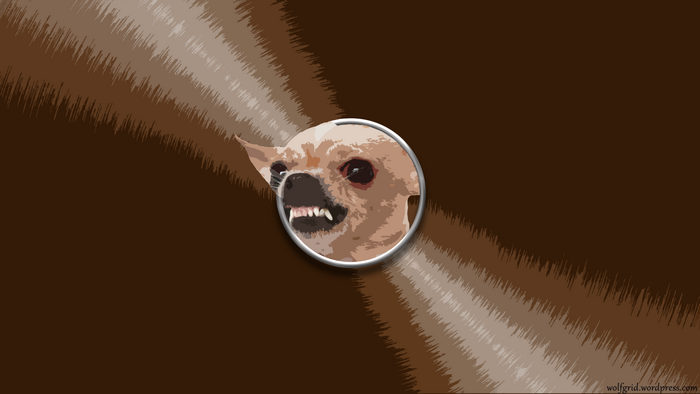 Angry chihuahua in a circle