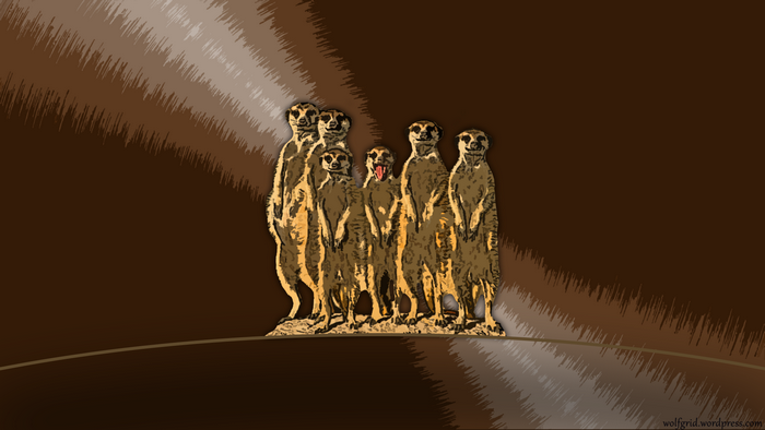 A group of meerkats standing together