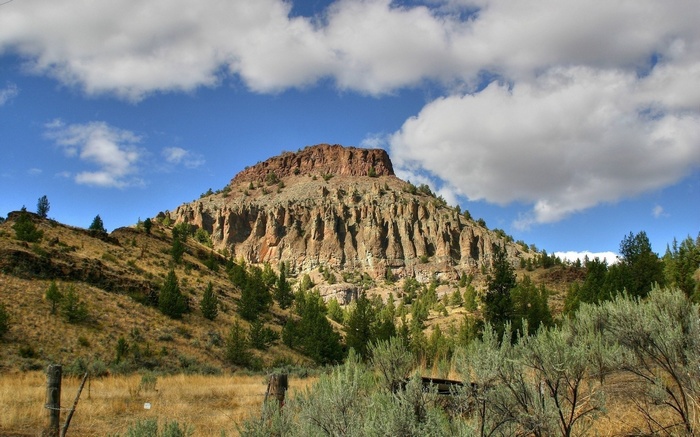 Mountain with rocky cliffs and scattered trees under a cloudy sky