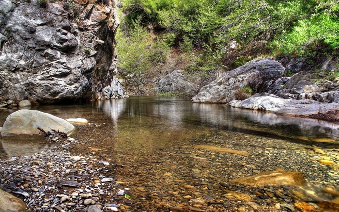 Rocky riverbed with clear water and trees
