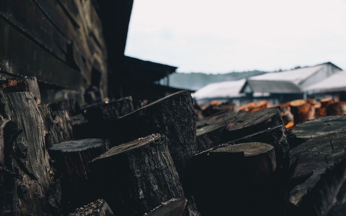 Pile of dark wood logs outdoors