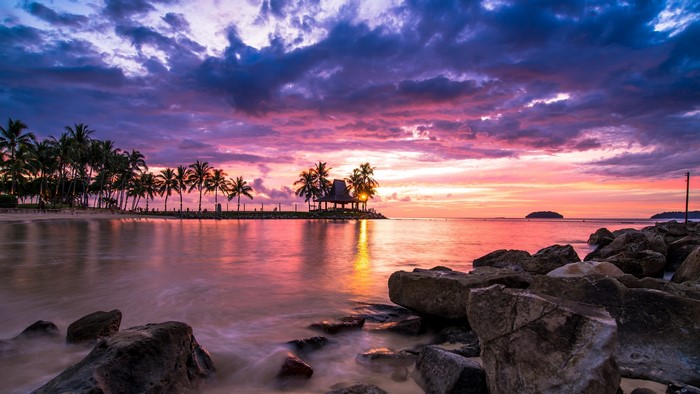Tropical beach sunset with palm trees and ocean