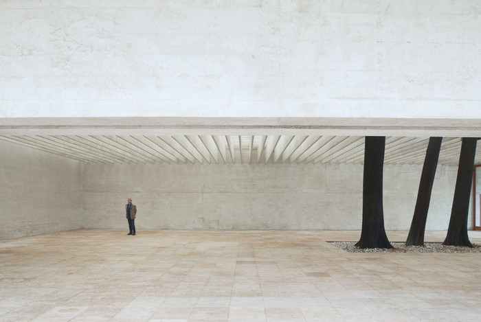 Man standing in minimalist concrete pavilion with trees