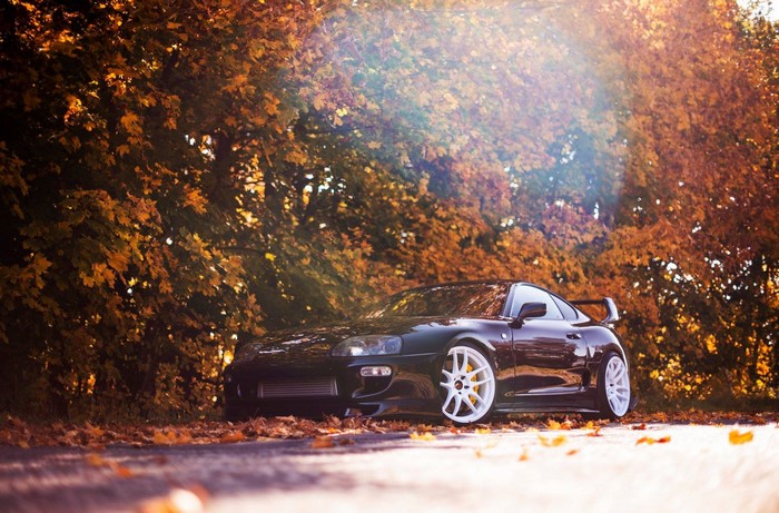 colored wheels, car, Toyota, fall, worms eye view, Toyota Supra, HD ...