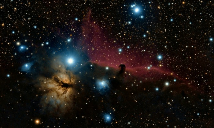 4K space nebula with stars and Horsehead Nebula