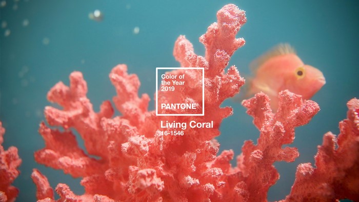 Pantone Living Coral Color of the Year 2019 Logo