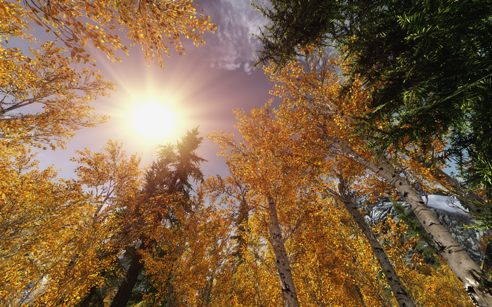 The Elder Scrolls V: Skyrim screenshot