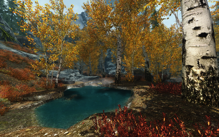 The Elder Scrolls V: Skyrim screenshot of autumn forest and pond