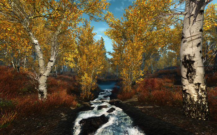 The Elder Scrolls V: Skyrim screenshot of a forest stream in autumn