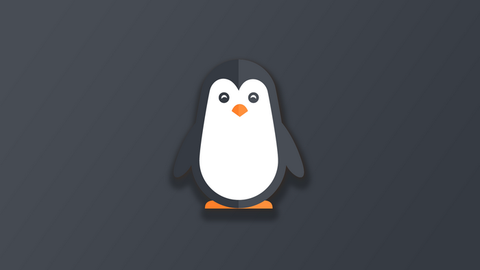 Simple cartoon penguin on a dark background
