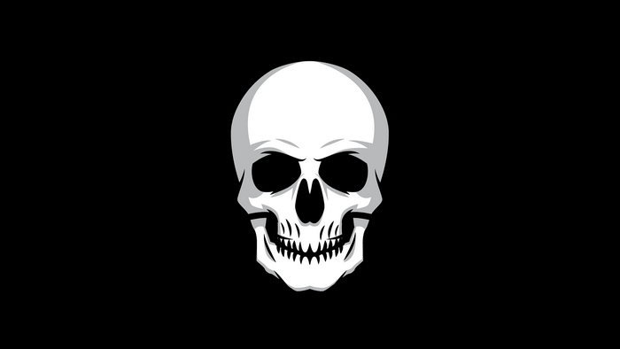 Skull illustration on black background