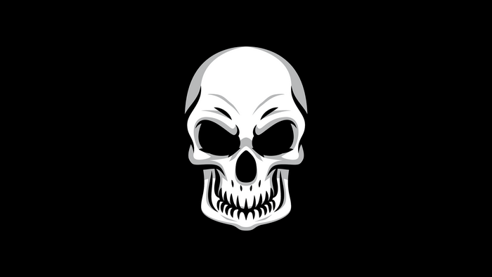 Minimalist Skull Illustration