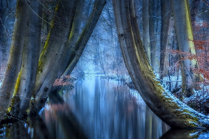Winter forest with a stream and snow