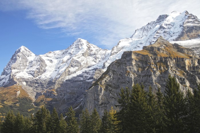 Snow-capped mountains and pine trees under a clear sky