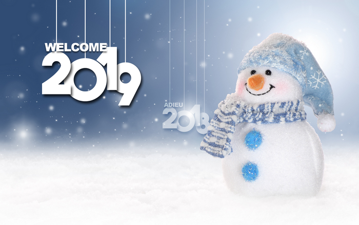 Welcome 2019 Adieu 2018 Snowman