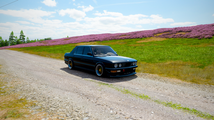 BMW E28 from Forza Horizon 4