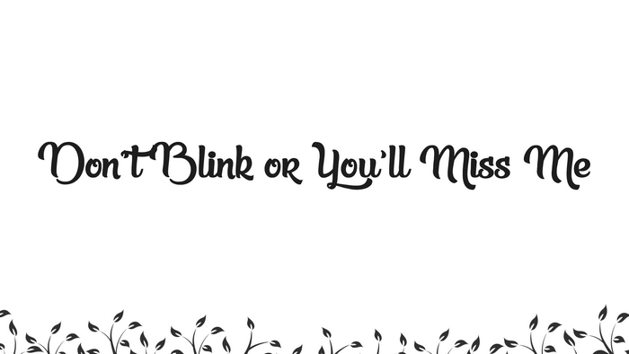 Don't Blink or You'll Miss Me typography