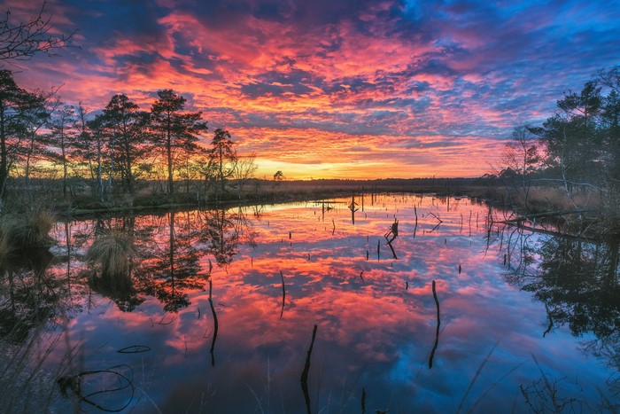 Sunrise over a lake with reflections