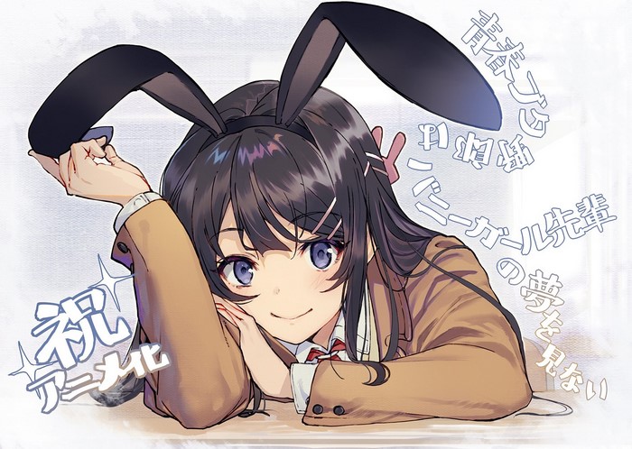 Sakurajima Mai from Seishun Buta Yarō wa Bunny Girl-senpai no Yume wo Minai
