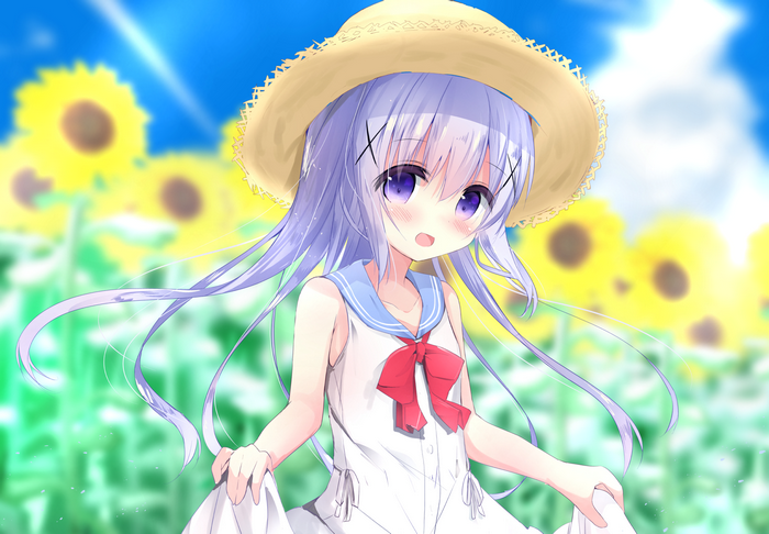 Kafuu Chino from Is the Order a Rabbit? in a sunflower field