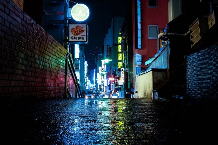 Neon lights in a wet Tokyo street at night