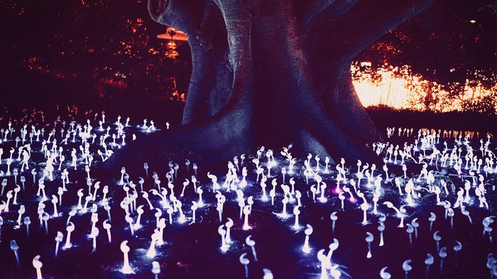 Tree roots with glowing mushroom-like lights at sunset