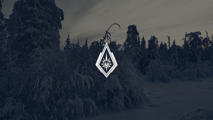 Winter forest with abstract diamond logo