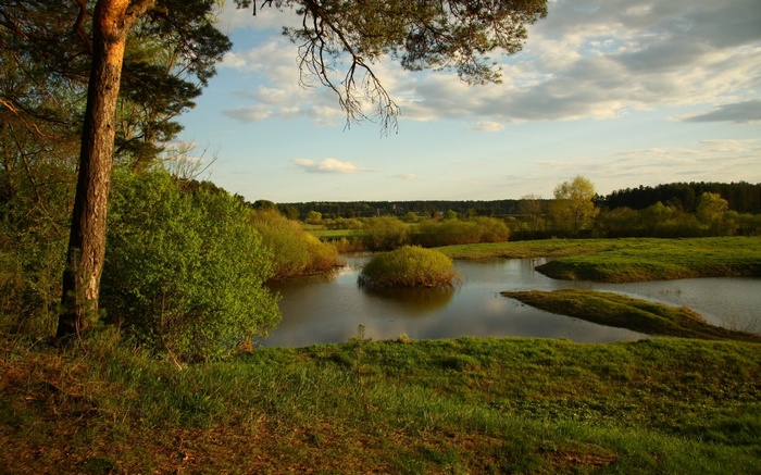 A tranquil river landscape with trees and clouds