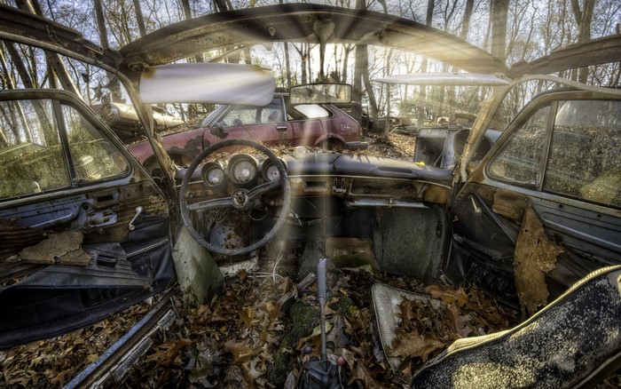 Sunlight streaming into abandoned car wreck