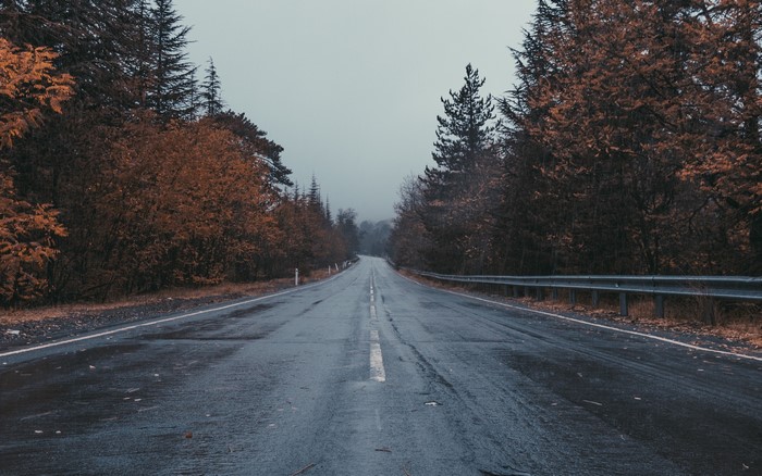 Wet asphalt road through autumn forest