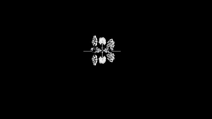 Minimalist trees reflected on black background