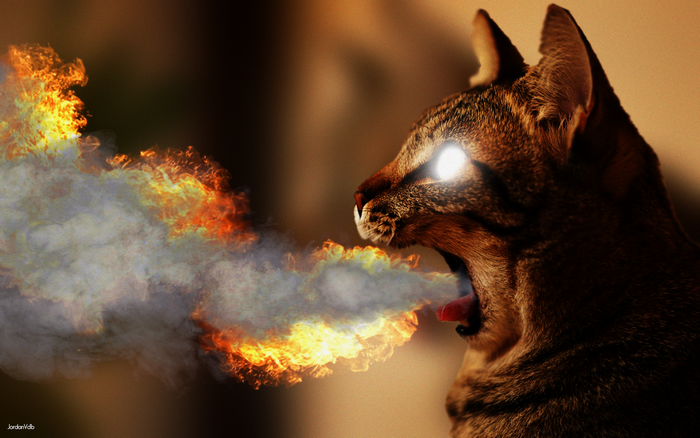 Cat breathing fire with glowing eyes