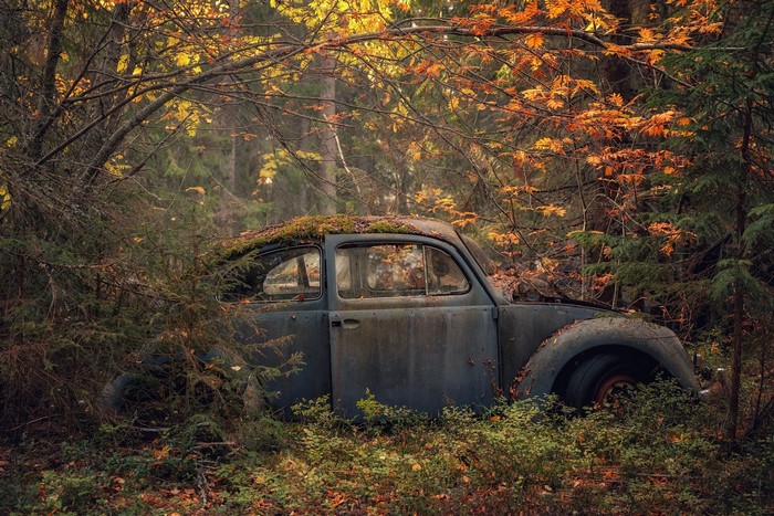 Abandoned car in a forest during fall
