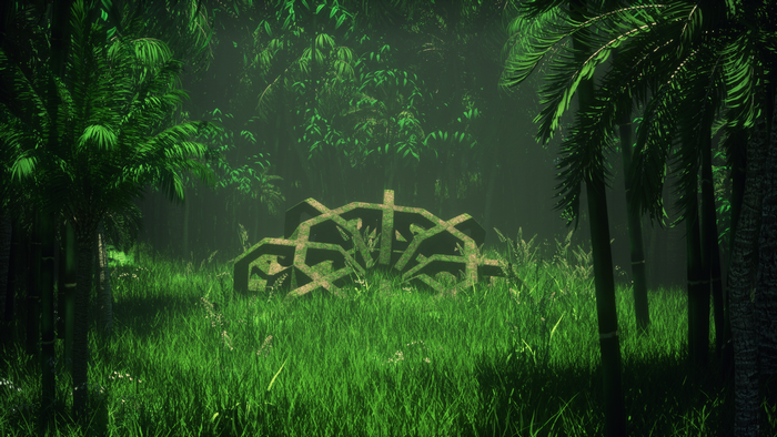 Ruined geometric structure in a dense jungle
