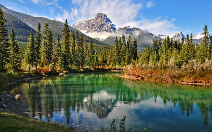Mountain lake with pine trees and reflection
