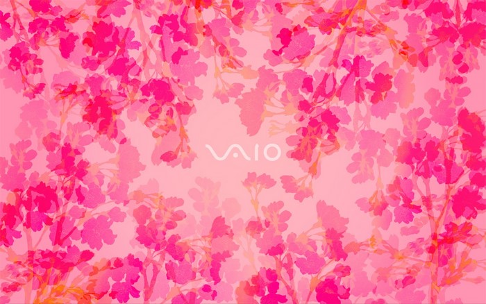 VAIO laptop with pink cherry blossoms