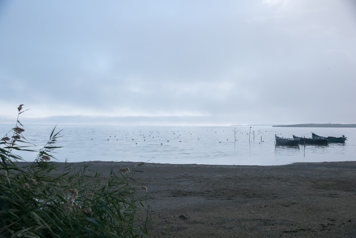 Boats and birds on a lake under cloudy sky