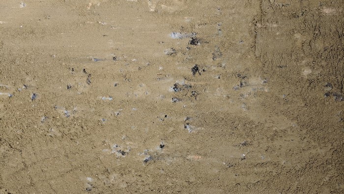 Close-up of sandy ground with debris
