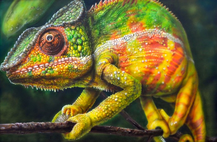 Colorful Chameleon Artwork in Nature