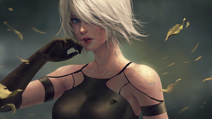 A2 from Nier: Automata with falling leaves