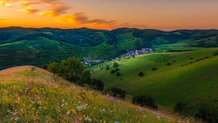 4K hills landscape with village and flowers