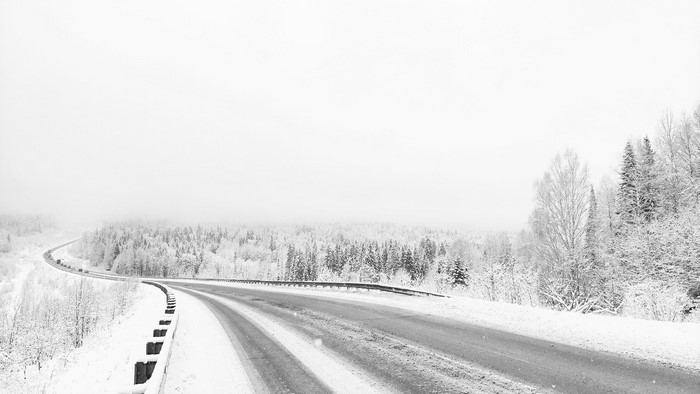 Monochrome winter road through a snow-covered forest
