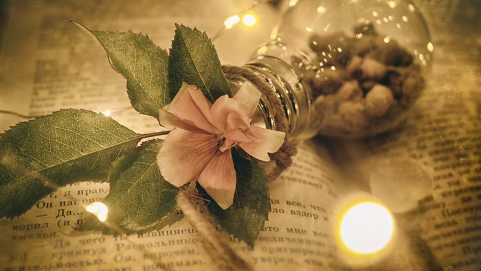 Still life with flower, book, and light bulb