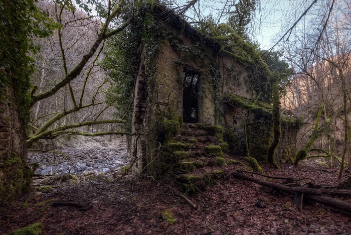 Abandoned stone ruin overgrown with moss and ivy in a forest