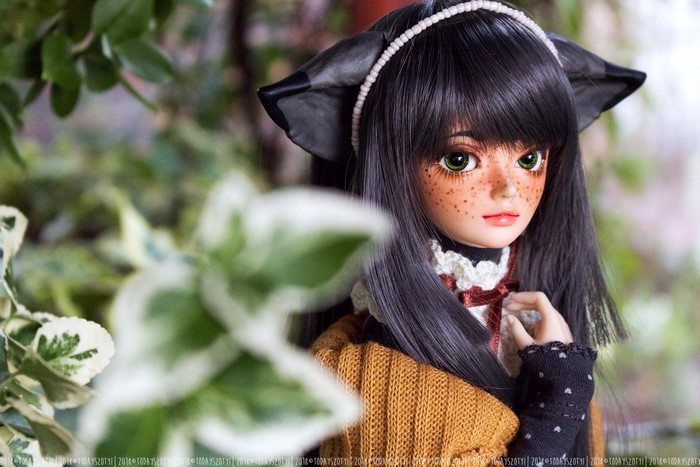 Doll with cat ears and freckles