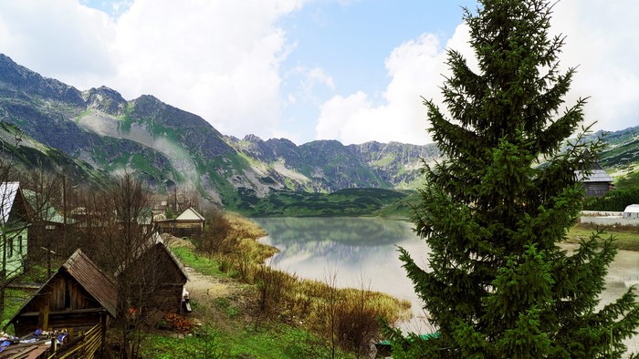 Mountain lake with village and fir tree