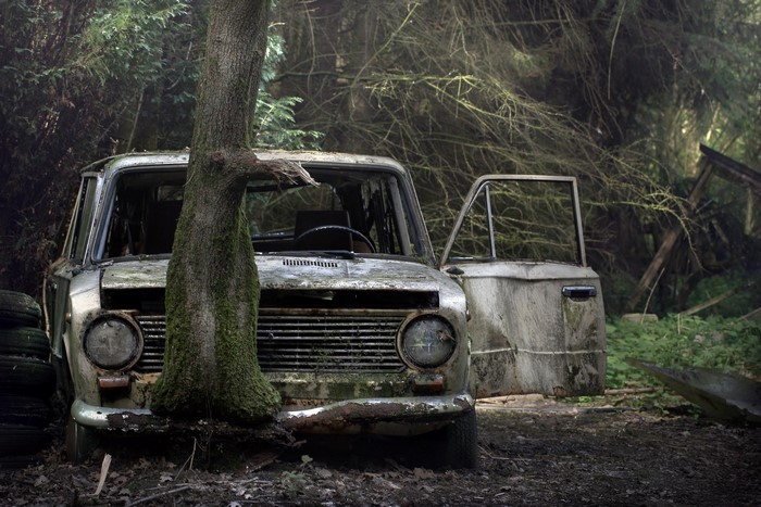 Abandoned Lada 2101 car overgrown by a tree in a forest