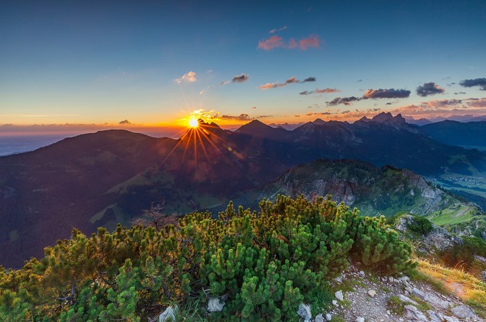 Sunrise over mountains with pine trees in foreground